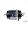 DT 4.67671 Spring-loaded Cylinder